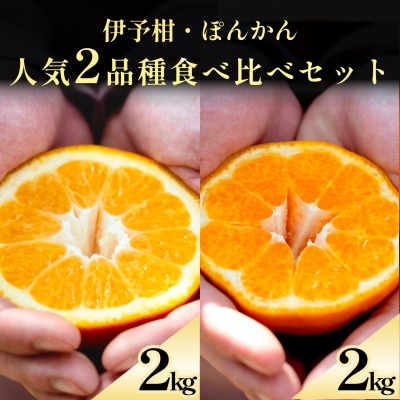 伊予柑+ぽんかん 愛媛人気2品種食べ比べ【各2kg】【D70-132】