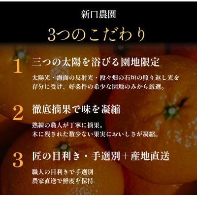 伊予柑+ぽんかん 愛媛人気2品種食べ比べ【各2kg】【D70-132】