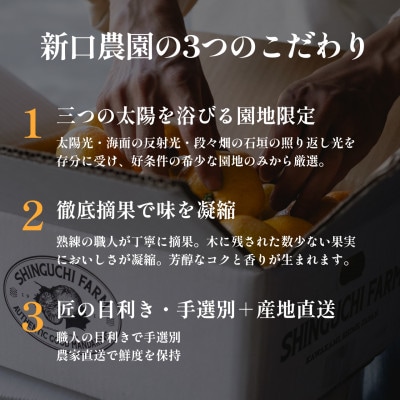 伊予柑+ぽんかん 愛媛人気2品種食べ比べ【各2kg】【D70-132】