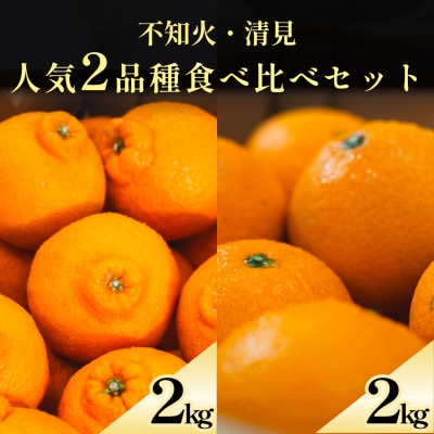 不知火+清見 愛媛人気2品種食べ比べ【各2kg】【D70-133】