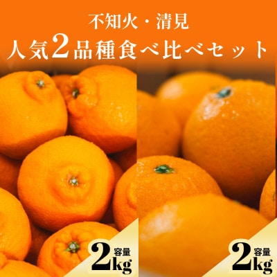 不知火+清見 愛媛人気2品種食べ比べ【各2kg】【D70-133】