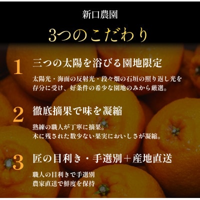 不知火+清見 愛媛人気2品種食べ比べ【各2kg】【D70-133】