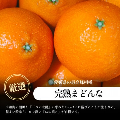 五代目が厳選!【完熟】まどんな 1.5kg【紅まどんな と同品種】【C70-135】