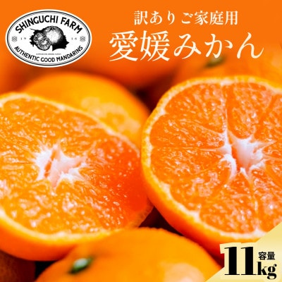 【訳ありだけど美味しさそのまま】愛媛みかん 11kg 愛媛県産【C70-136】