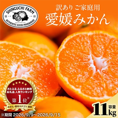 【今シーズン発送開始】五代目が厳選!訳あり愛媛みかん 11kg 新口農園【C70-136】