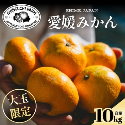 【大玉サイズ限定】五代目が厳選した愛媛みかん 10kg【C70-137】