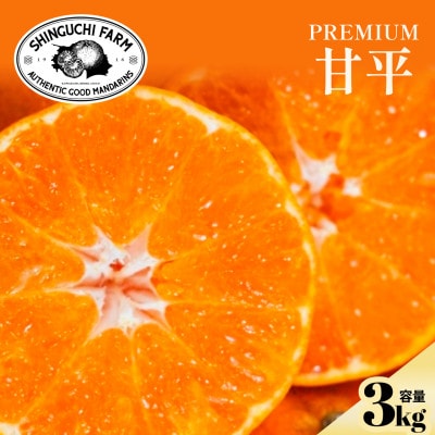【数量限定】五代目が厳選した「完熟甘平」甘平3kg【E70-143】