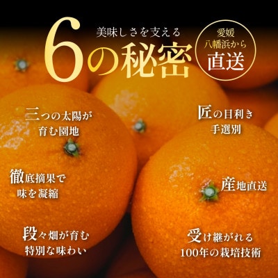 紅プリンセスと同品種「甘平×まどんな」愛果48号【1.5kg】《新品種》【家庭用】【C70-146】