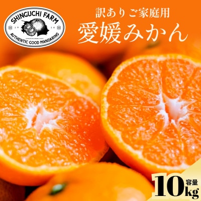 今シーズン発送開始!【訳あり】愛媛みかん 10kg 愛媛県産【D70-147】