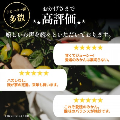 【今シーズン発送開始】五代目が厳選!訳あり愛媛みかん 5.5kg 新口農園【A70-149】