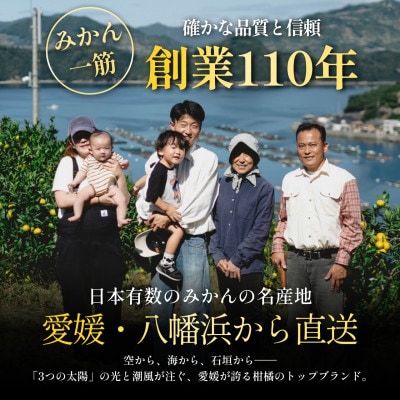【今シーズン発送開始】五代目が厳選!訳あり愛媛みかん 5.5kg 新口農園【A70-149】