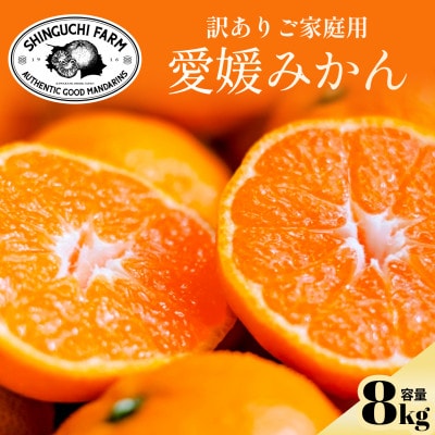 今シーズン発送開始!【訳あり】愛媛みかん 8kg 愛媛県産【C70-150】