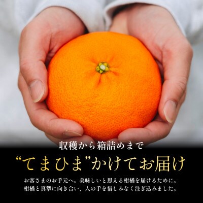 【贈答用】五代目が厳選した「完熟甘平」3kg【F70-160】