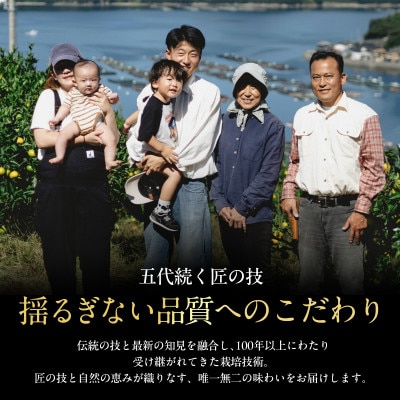 【贈答用】五代目が厳選した「完熟甘平」3kg【F70-160】