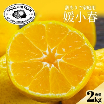 【数量限定】今シーズン発送!【訳あり】媛小春 2kg【A70-161】