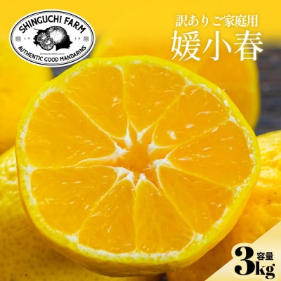 【数量限定】今シーズン発送!【訳あり】媛小春 3kg【C70-162】