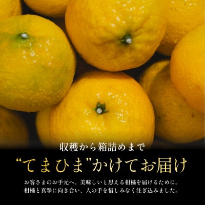 【数量限定】今シーズン発送!【訳あり】媛小春 5kg【D70-163】