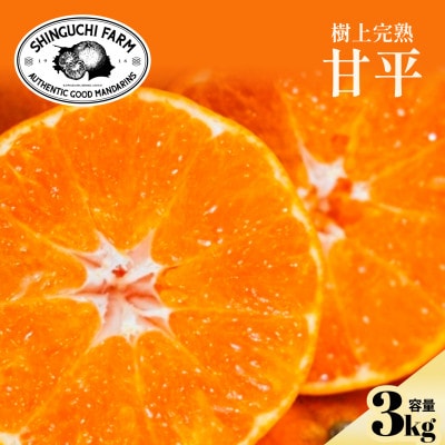 【数量限定】今シーズン発送!【訳あり】甘平 3kg【C70-165】