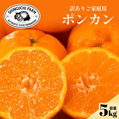 【数量限定】今シーズン発送!【訳あり】ポンカン 5kg 愛媛県産【C70-167】