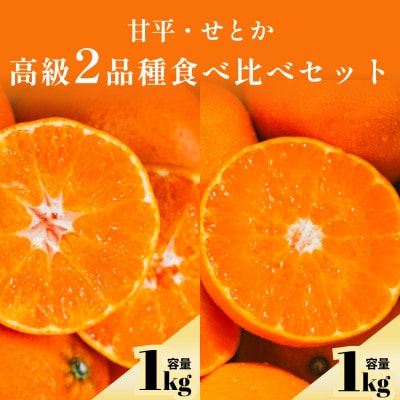 【愛媛人気2品種食べ比べ】せとか + 甘平 各1kg【C70-169】