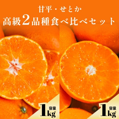 【愛媛人気2品種食べ比べ】せとか + 甘平 各1kg【C70-169】