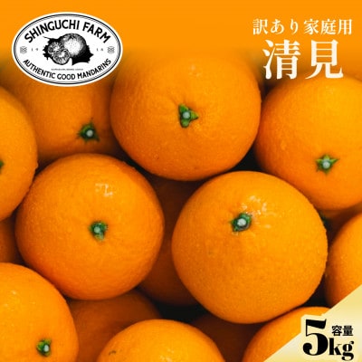 【数量限定】2026年2月下旬より順次発送!【訳あり】清見 5kg【C70-171】