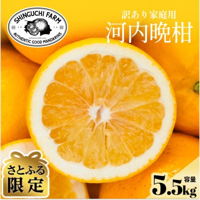 【さとふる限定】今シーズン発送!【訳あり】河内晩柑 5.5kg【A70-174】