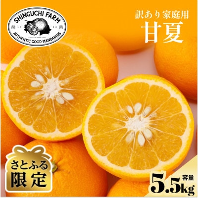 【さとふる限定】今シーズン発送!【訳あり】甘夏 5.5kg【A70-175】