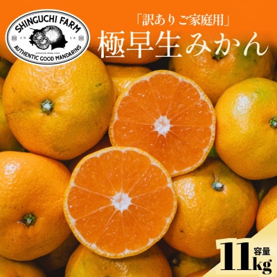 【訳ありだけど美味しさそのまま】極早生みかん 11kg【愛媛県産】【70-187】
