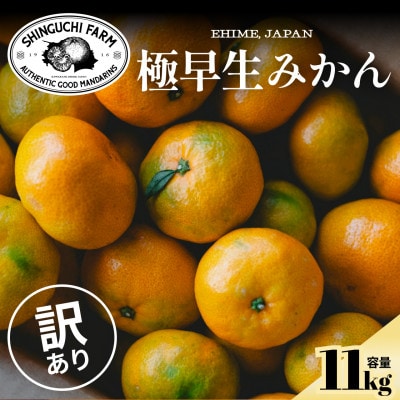 【訳ありだけど美味しさそのまま】極早生みかん 11kg【愛媛県産】【70-187】