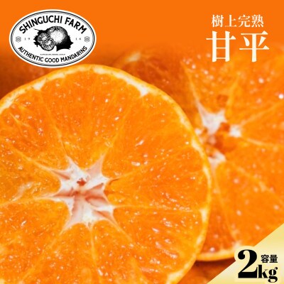 創業110年の伝統】五代目が厳選した甘平 2kg【家庭用】【70-182