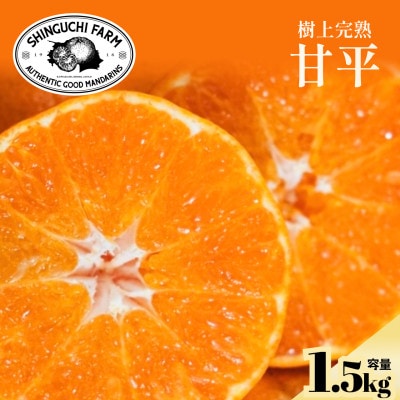 創業110年の伝統】五代目が厳選した甘平 1.5kg【70-184】 | 愛媛県