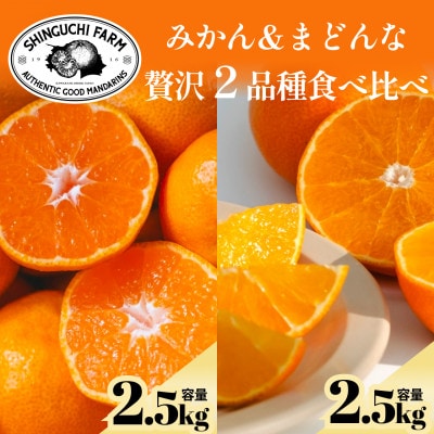 【贅沢2品種食べ比べ】愛媛みかん&まどんな セット 計5kg(各2.5kg)【70-194】