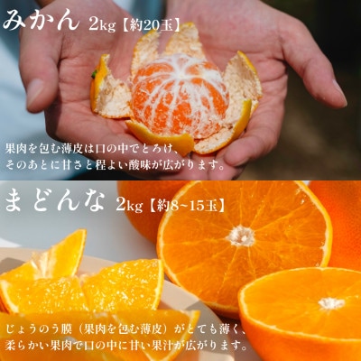 【贅沢2品種食べ比べ】愛媛みかん&まどんな セット 計5kg(各2.5kg)【70-194】