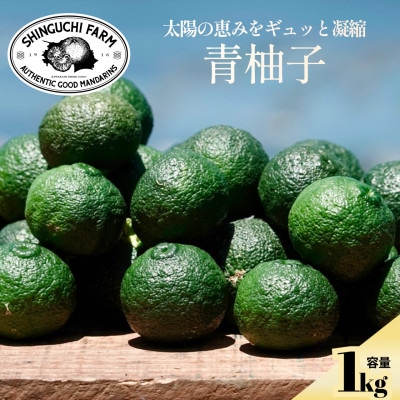 【太陽の恵みをギュッと凝縮】青柚子 1kg 愛媛県産【防腐剤・ワックス不使用】【70-193】