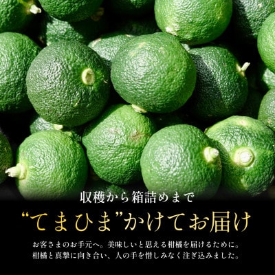 【太陽の恵みをギュッと凝縮】青柚子 1kg 愛媛県産【防腐剤・ワックス不使用】【70-193】