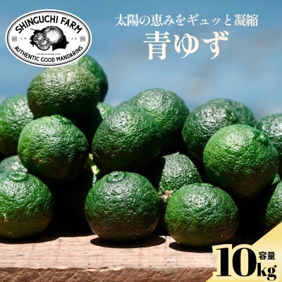 【太陽の恵みをギュッと凝縮】青ゆず 10kg 愛媛県産【防腐剤・ワックス不使用】【70-189】