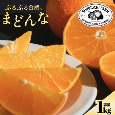 【創業110年 老舗農家が本気で作った】まどんな 1kg【紅まどんな と同品種】【70-195】