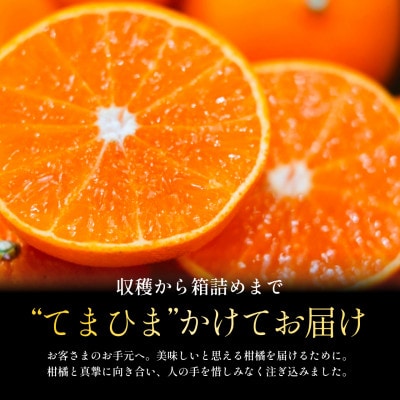 【創業110年 老舗農家が本気で作った】まどんな 1kg【紅まどんな と同品種】【70-195】