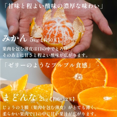 【発送月固定定期便】2025年発送 愛媛フルーツ旬の柑橘 みかん・まどんな【E70-39】全2回