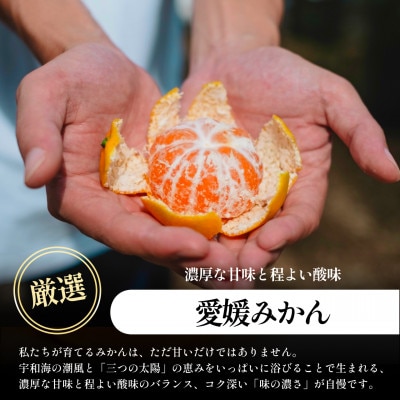 【発送月固定定期便】五代目厳選!旬の愛媛みかんをお届け みかん・まどんな【F70-39】全2回