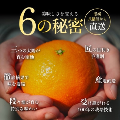 【発送月固定定期便】五代目厳選!旬の愛媛みかんをお届け みかん・まどんな【F70-39】全2回