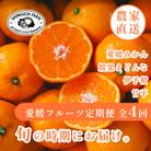 【発送月固定定期便】愛媛の美味しい柑橘 みかん・まどんな・伊予柑・甘平【H70-40】全4回