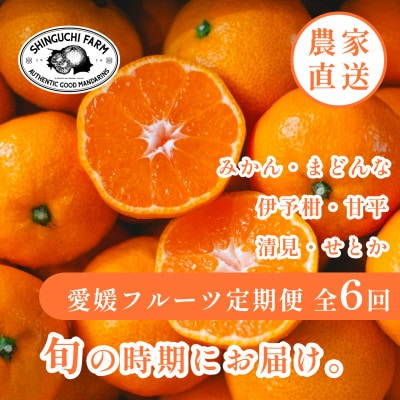 【発送月固定定期便】愛媛の美味しい柑橘 人気6品種 まどんな・甘平・せとか等【H70-41】全6回