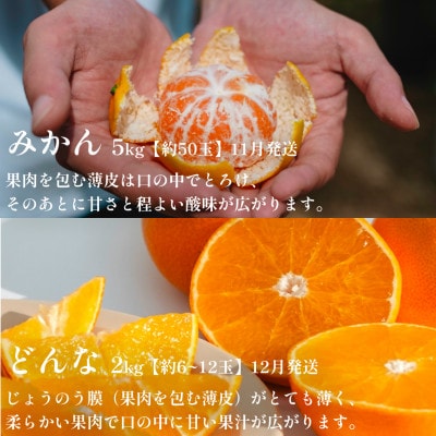 【発送月固定定期便】愛媛の美味しい柑橘 人気6品種 まどんな・甘平・せとか等【H70-41】全6回