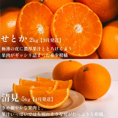 【発送月固定定期便】愛媛の美味しい人気柑橘5品種 甘平・せとか・河内晩柑等【H70-43】全5回