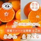 【発送月固定定期便】愛媛フルーツ旬の柑橘 みかん・まどんな 各3kg【G70-78】全2回