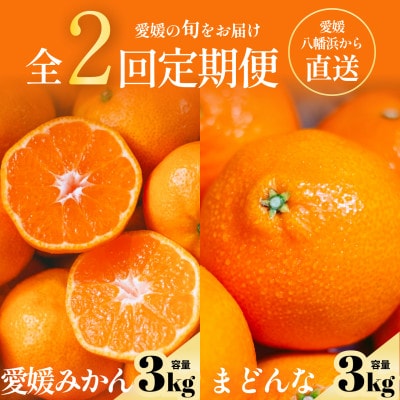 【発送月固定定期便】五代目厳選!旬のみかんをお届け みかん・まどんな 各3kg【G70-78】全2回