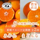 【発送月固定定期便】愛媛フルーツ旬の柑橘 みかん・まどんな 各5kg【H70-79】全2回