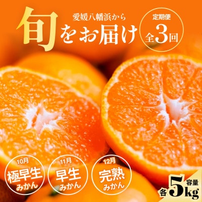 【発送月固定定期便】五代目厳選!旬の愛媛みかんをお届け【極早生・早生・完熟】【H70-80】全3回